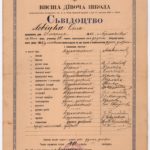 Документ. Свідоцтво Ольги Левицької .учениці Вищої дівочої школи Руского дівочого інституту. Перемишль, 29.06.1899
