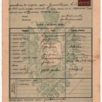 Документ. Шкільне свідоцтво Ольги Левицької за 1906/7 р., учениці гімназії. Перемишль, 1.02.1907